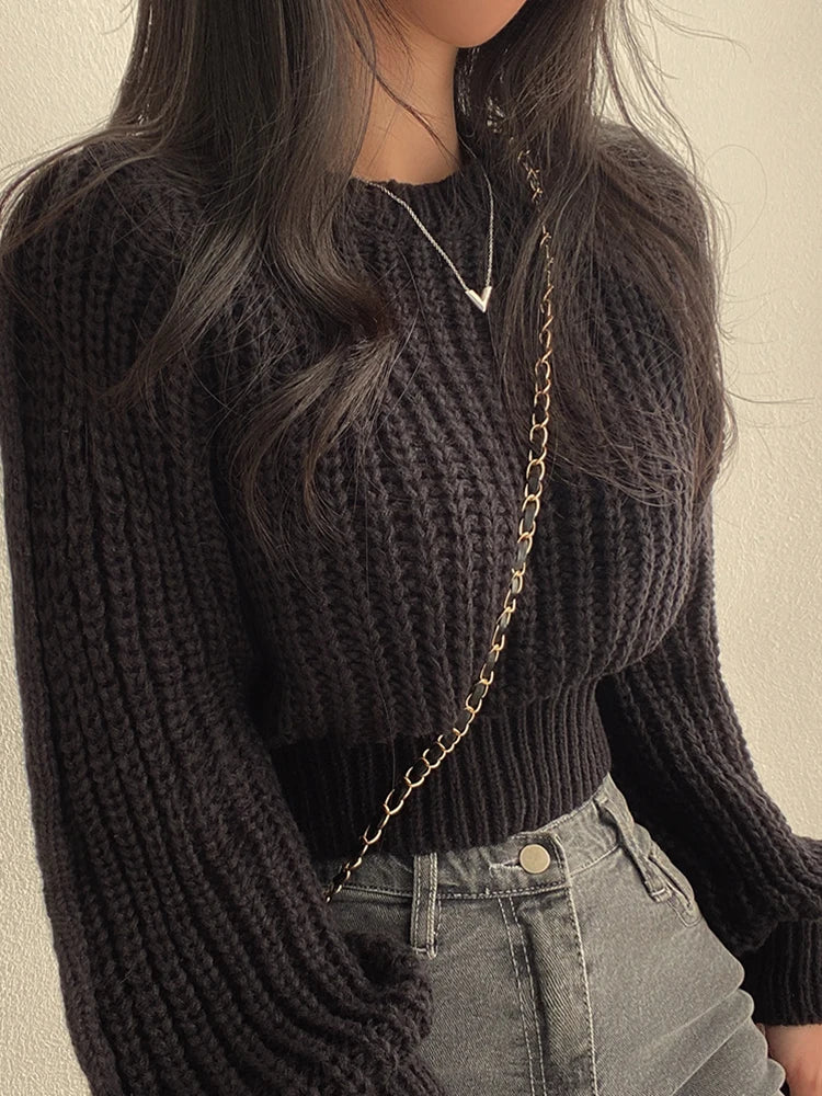 Lantern Sleeve Knit Sweater
