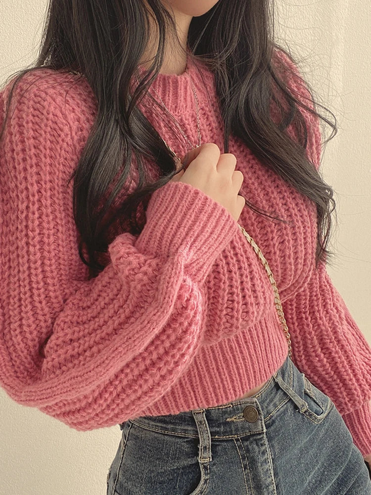 Lantern Sleeve Knit Sweater