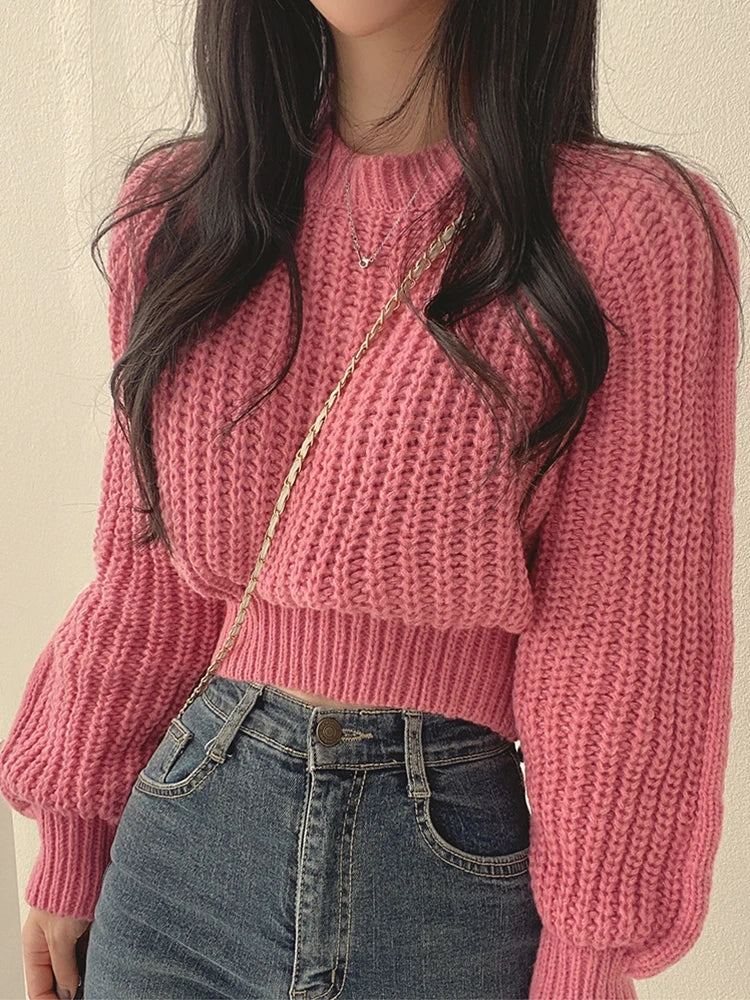 Lantern Sleeve Knit Sweater