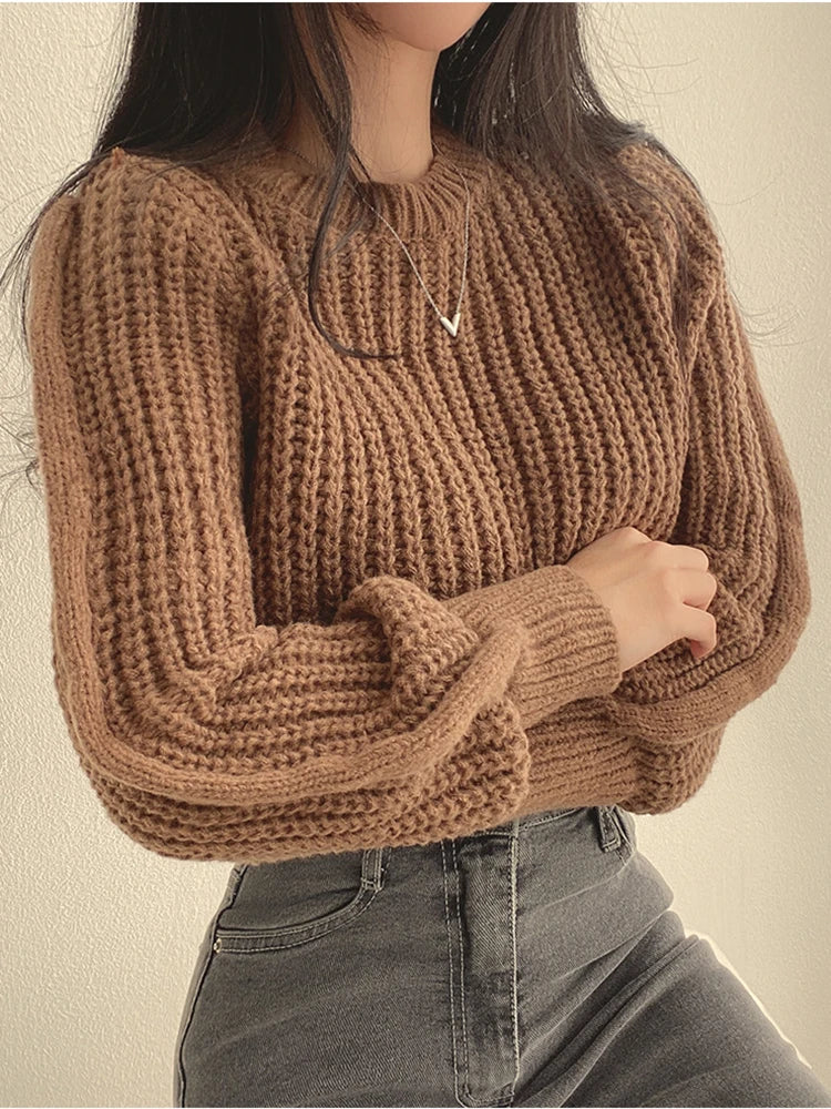 Lantern Sleeve Knit Sweater